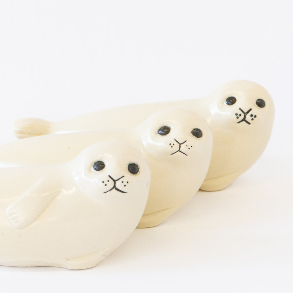 アザラシ ミディアム