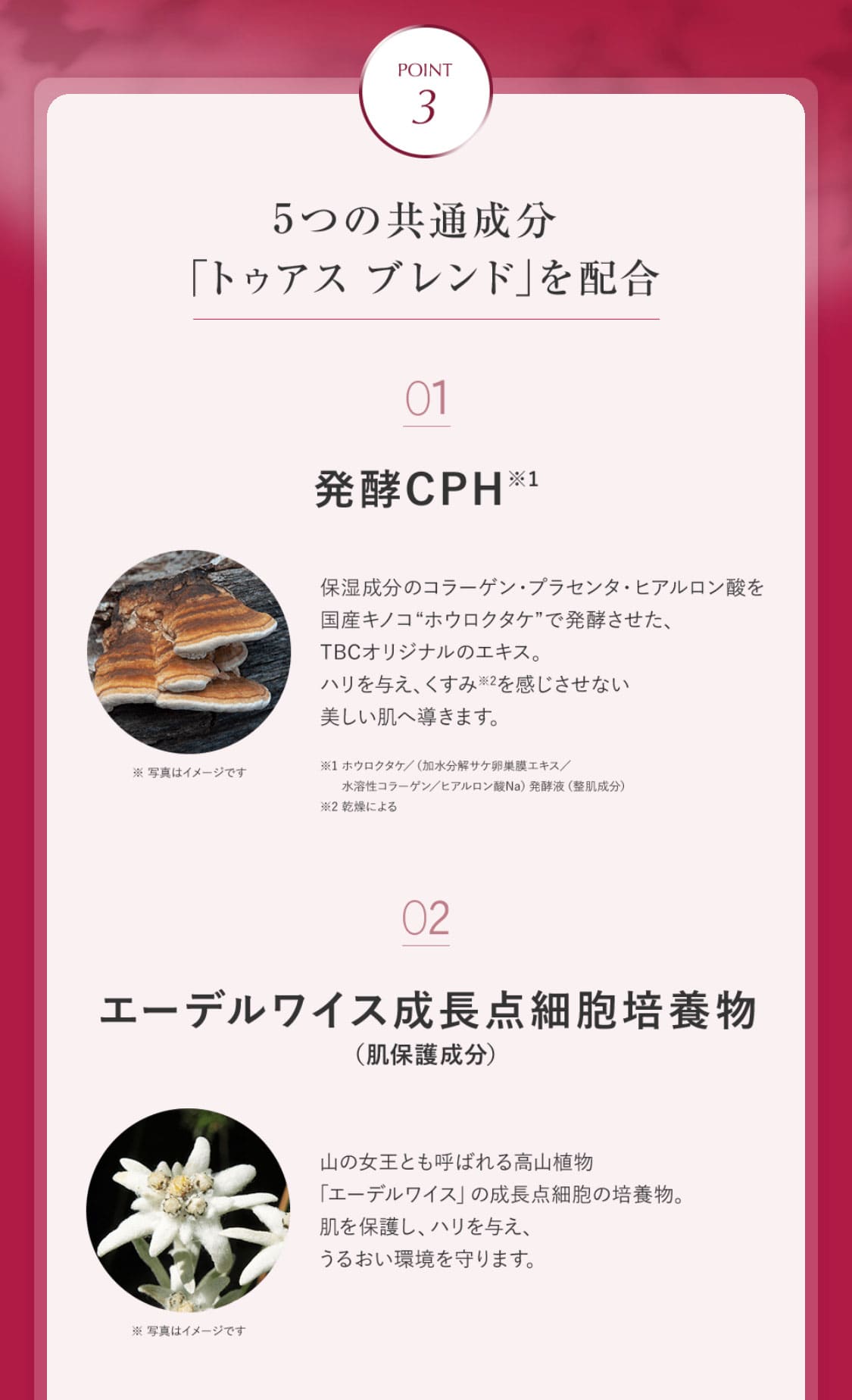 トゥアス ボー モイスチュアクリーム_30g: トゥアス ボー｜TBC