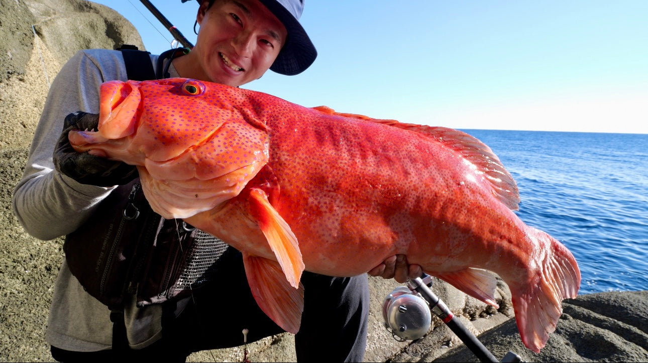 WILD SEEKER 453HH (ワイルドシーカー453HH)