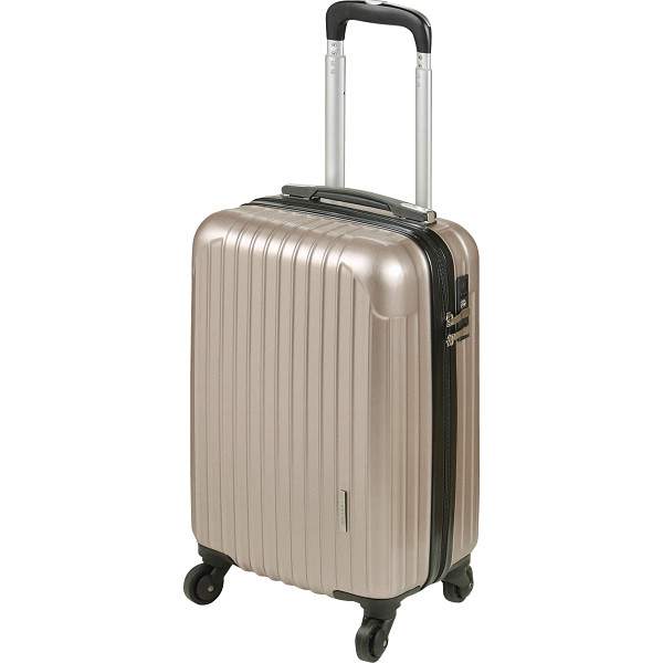 TSAロック付キャリーケースゴールド | シャディギフトモール
