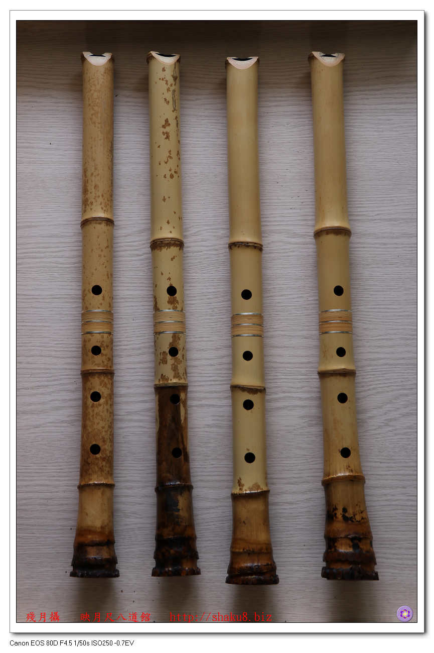 尺八 悠 プラ管 1尺8寸管 六孔 尺八☆悠