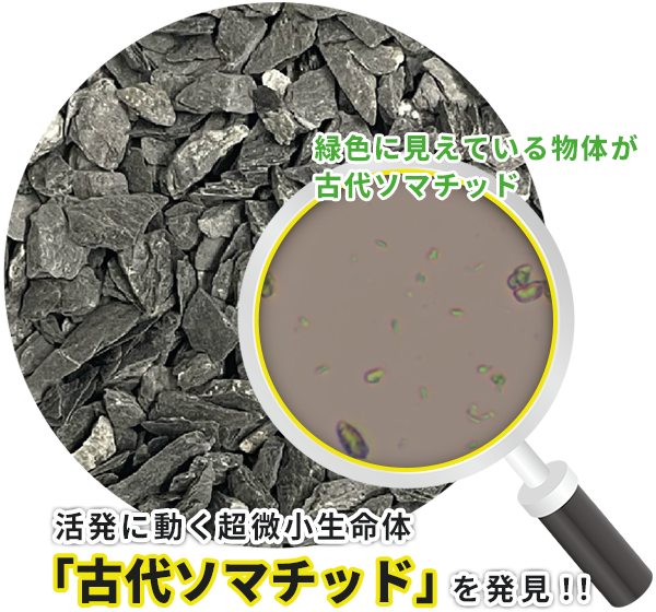 美容・健康に心強い鉱石 Somachi（ソマチ） | 株式会社ソマチ