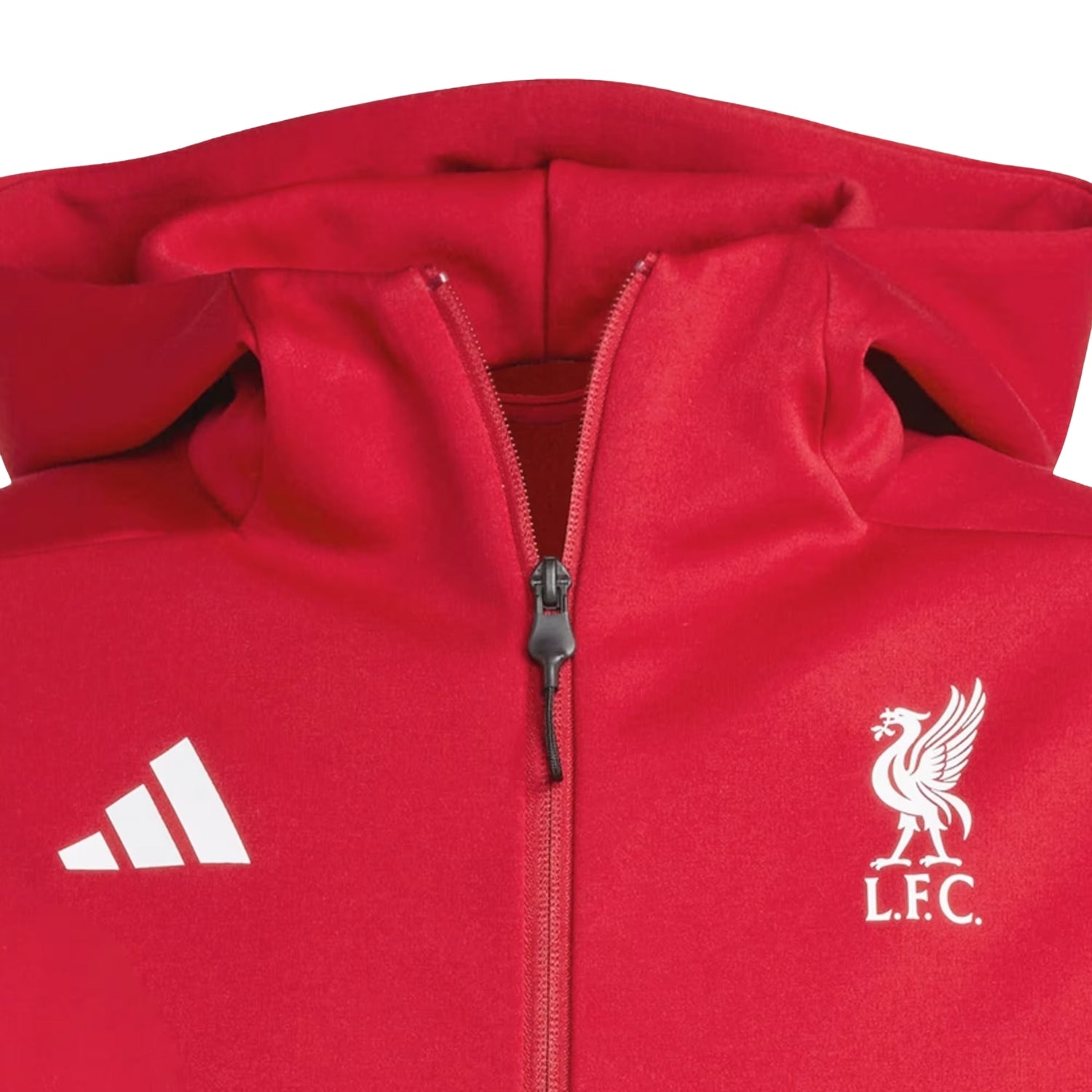 adidas Liverpool FC Men's Anthem Jacket – Soccer Maxx