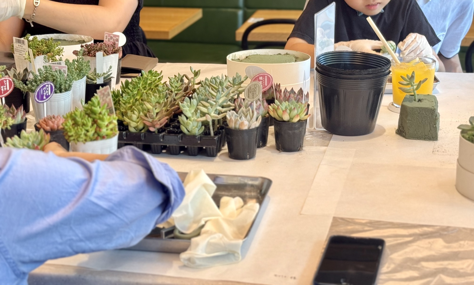 News-SOLSO HOME | SOLSO architectual plant＆farm