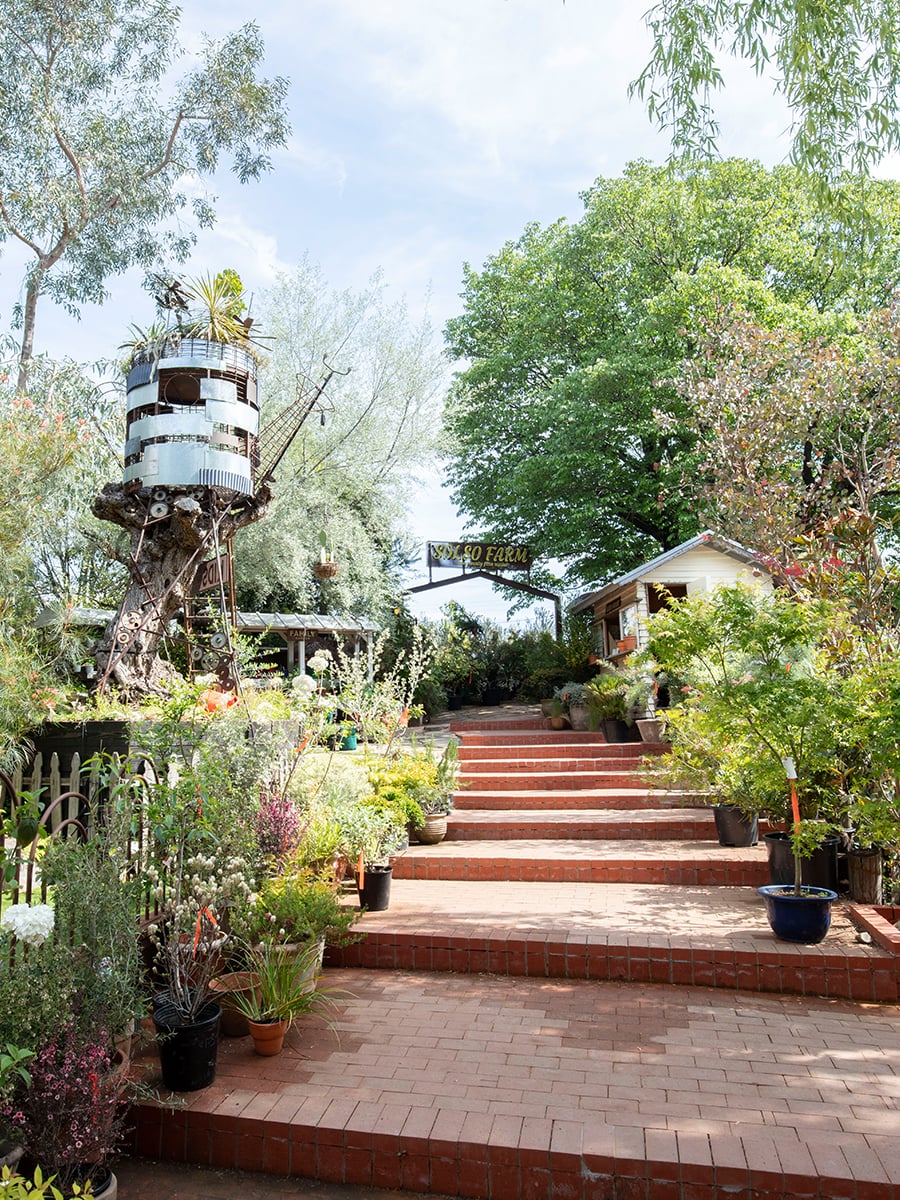 Store | SOLSO architectual plant＆farm