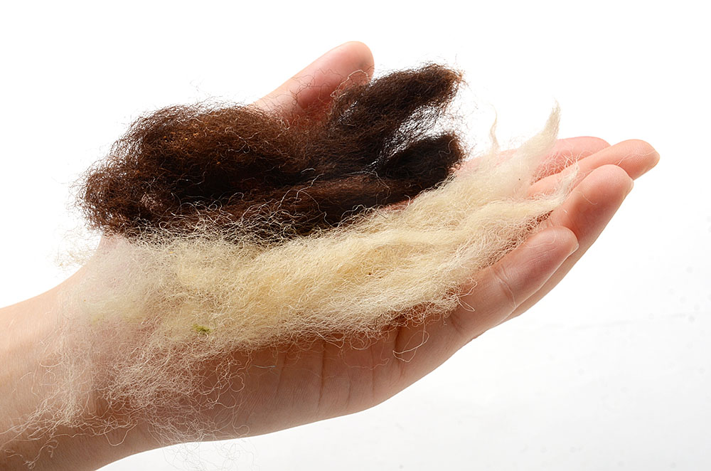 ジェイコブの話 – SPIN HOUSE PONTA.