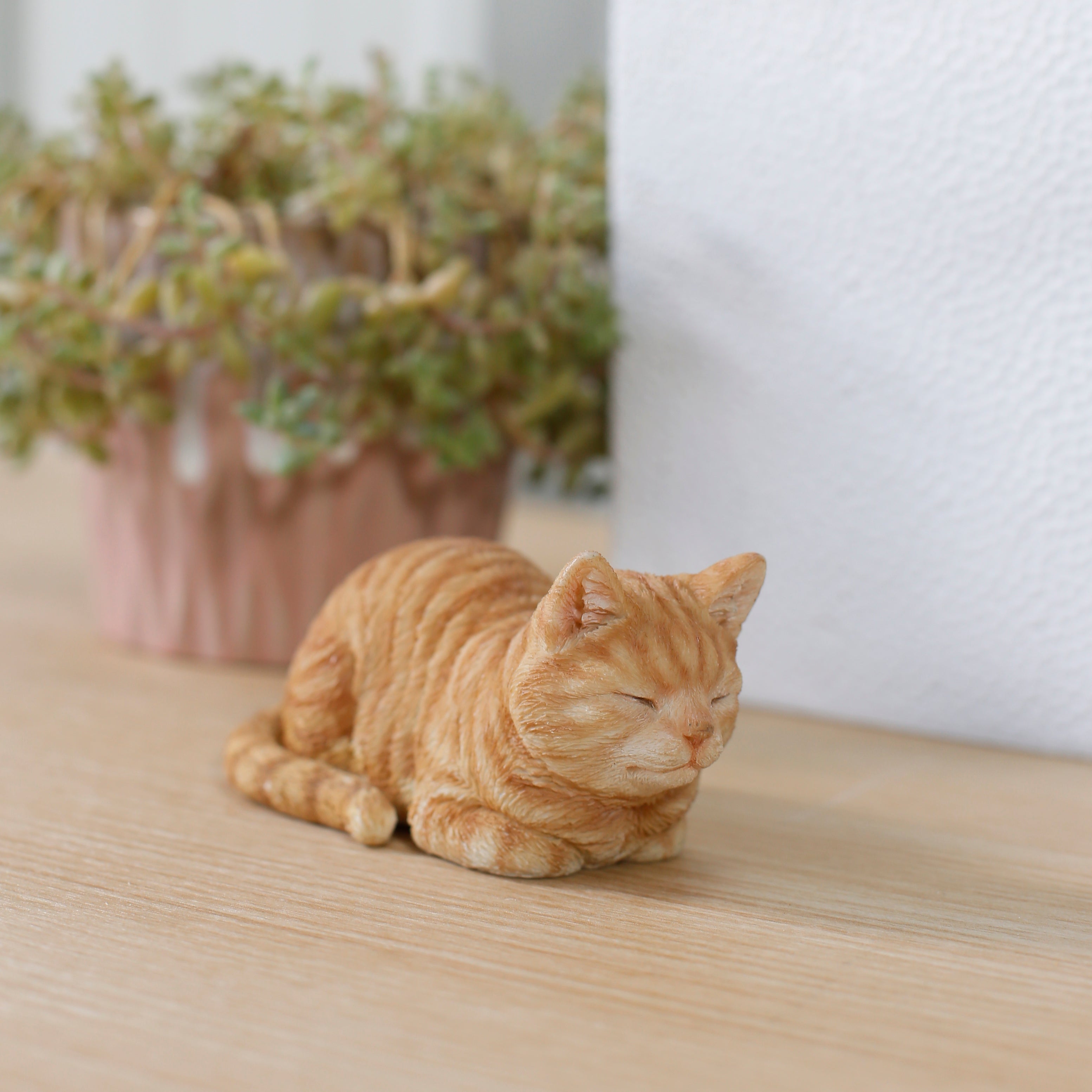 寝る茶トラ猫｜WooBia公式オンラインショップ – WooBia（ウービア