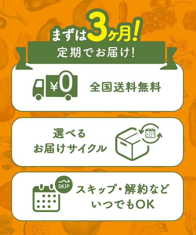 定期購入キャンペーン】Yoganic Life ヨギーニフード100［2箱コース