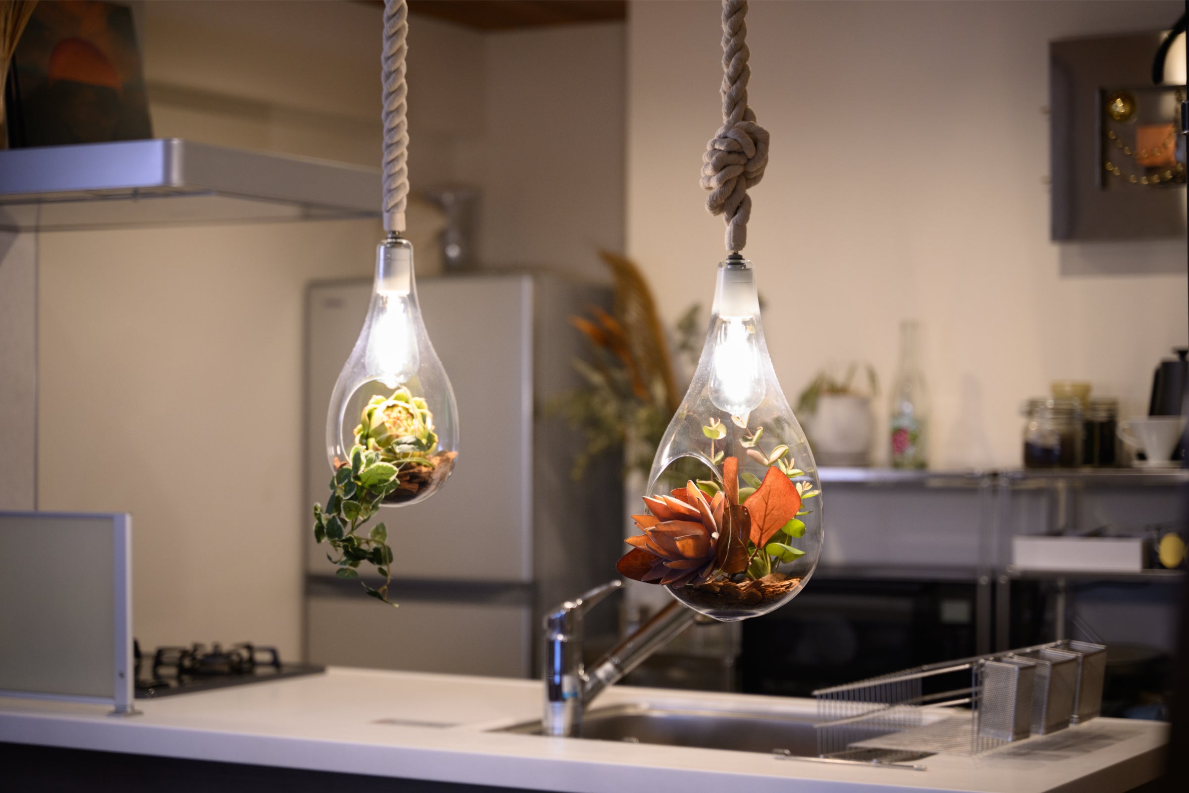 BOTANIC HANGING LIGHT with FAKEGREEN – SWAN ONLINE STORE