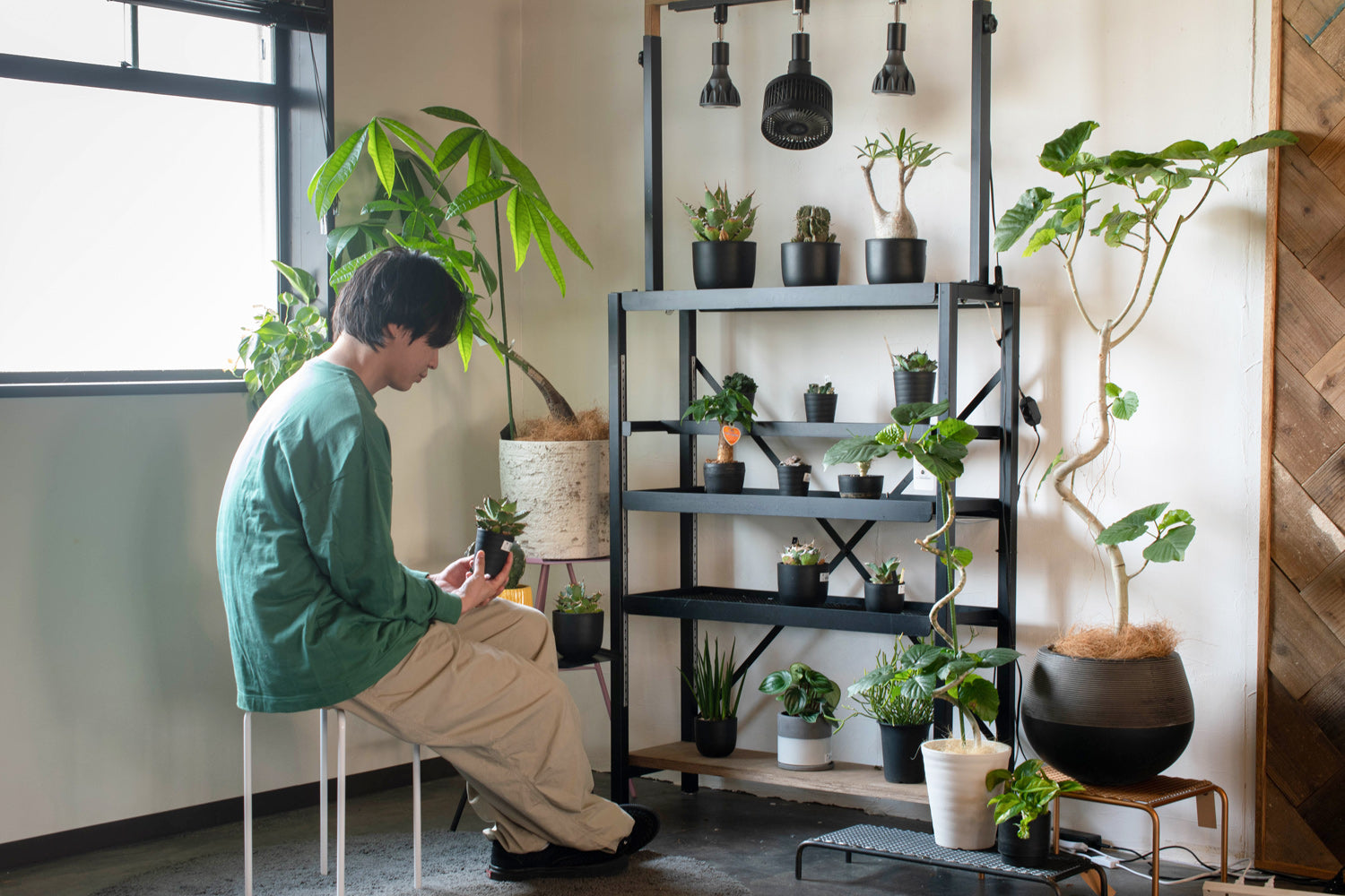 ボタニカルラック | アイアン家具通販 SULK
