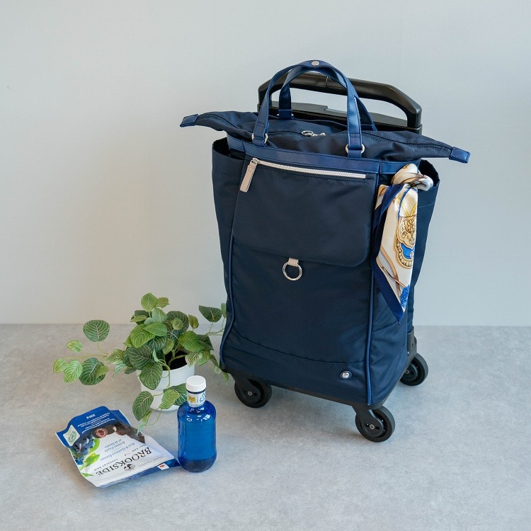 soelte／ソエルテ オートゥイユ お買い物キャリー 21L 35981(03