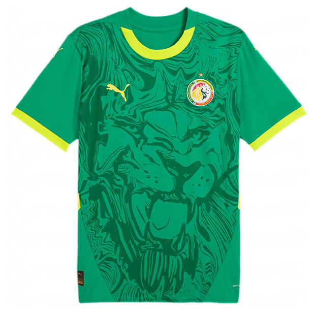 セネガル代表 2025 アウェイ 半袖レプリカユニフォーム | ゲキサカFCストア