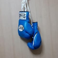 希少！ Cleto Reyes ボクシンググローブ 8オンス 青 レイジェス - メルカリ