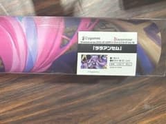 m16914791567_1.jpg?1765242283