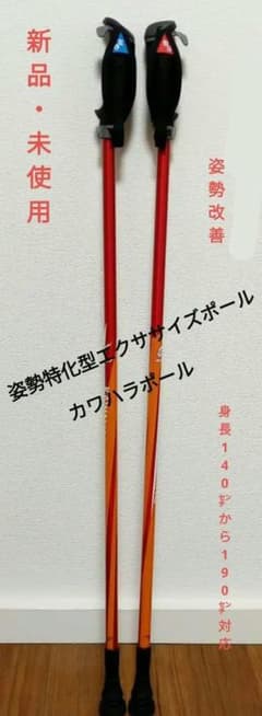 姿勢特化型エクササイズポール ウォーキングポール カワハラポール