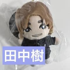 早い者勝ち】田中樹 SixTONES 手つなぎストぬい - メルカリ