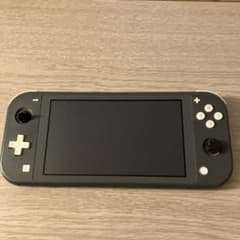 Nintendo Switch Lite ライト グレー 本体 ジャンク - メルカリ