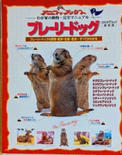 プレーリードッグ 飼育ガイド アニファブックス リチャードソンジリス
