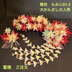 m36338287967_1.jpg?1711166251