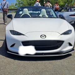 m32813494940_1.jpg?1722303350