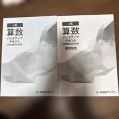 算数バックアップテキスト HOMEWORK 早稲田アカデミー - メルカリ