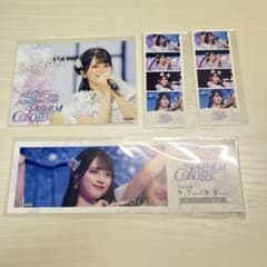 m46851577919_1.jpg?1734857832