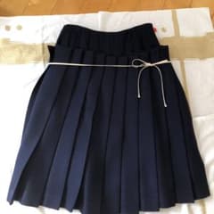 ミナペルホネン sky sand プリーツスカート 紺色 - メルカリ