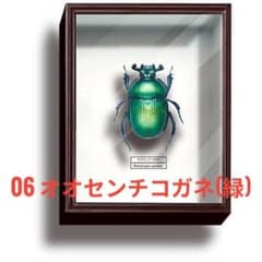 m43438948388_1.jpg?1752389879