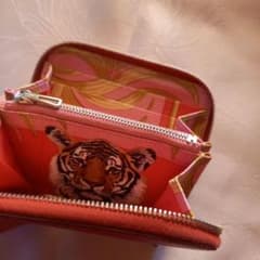 m55362124374_1.jpg?1737097997