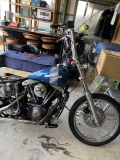 m51054920884_1.jpg?1738384054