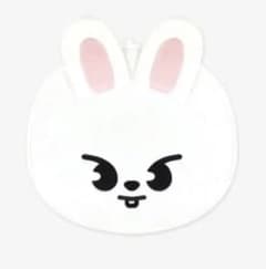 straykids スキズ うちわカバー リノ - メルカリ