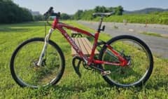 m66838869873_1.jpg?1752847427