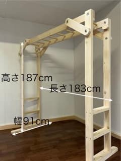 タイプC 高さ固定 ブレキエーション 雲梯 うんてい 室内遊具 知育玩具