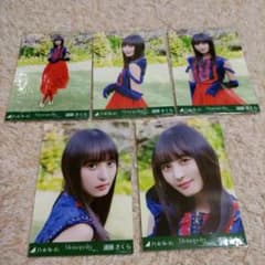 m75575019229_1.jpg?1711014689