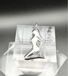 新品未使用品】janji type1 ネックレス トップ 廃盤 赤西仁着用 - メルカリ