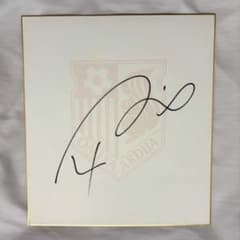 m99267466288_1.jpg?1747565616