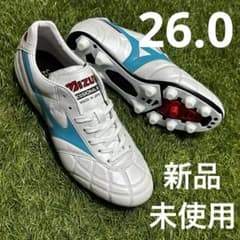 m91968096042_1.jpg?1731097927