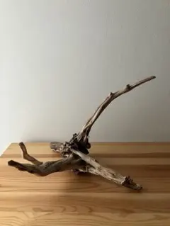 2026年最新】ADA 流木、の人気アイテム - メルカリ