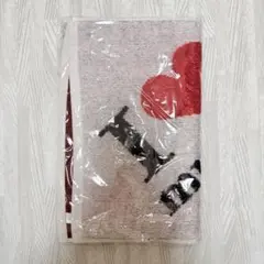 2026年最新】安室奈美恵タオルの人気アイテム - メルカリ