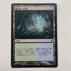 2026年最新】霧深い雨林の人気アイテム - メルカリ