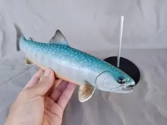 2026年最新】ミヤベイワナの人気アイテム - メルカリ