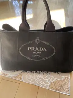 2026年最新】プラダ カナパ lの人気アイテム - メルカリ