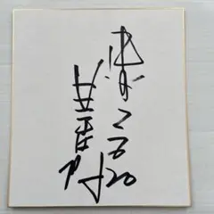 2026年最新】星野仙一 サイン色紙の人気アイテム - メルカリ