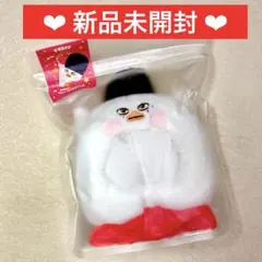 2026年最新】RIIZE ソヒ ペンライトカバーの人気アイテム - メルカリ