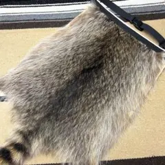 2026年最新】尻皮 尻あての人気アイテム - メルカリ