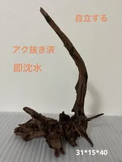 2026年最新】マシンガンウッドの人気アイテム - メルカリ