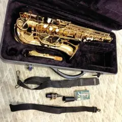 2026年最新】mavisサックスの人気アイテム - メルカリ