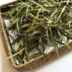 2026年最新】相思樹の人気アイテム - メルカリ