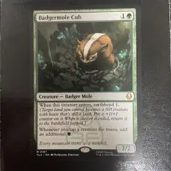 2026年最新】アナグマモグラの仔の人気アイテム - メルカリ