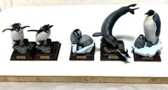 2026年最新】ネイチャーテクニカラー 南極の人気アイテム - メルカリ